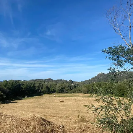 Casa Estate *